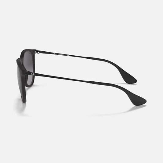 Ray-Ban Erika Classic