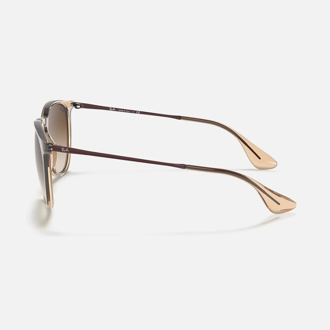 Ray-Ban Erika Classic