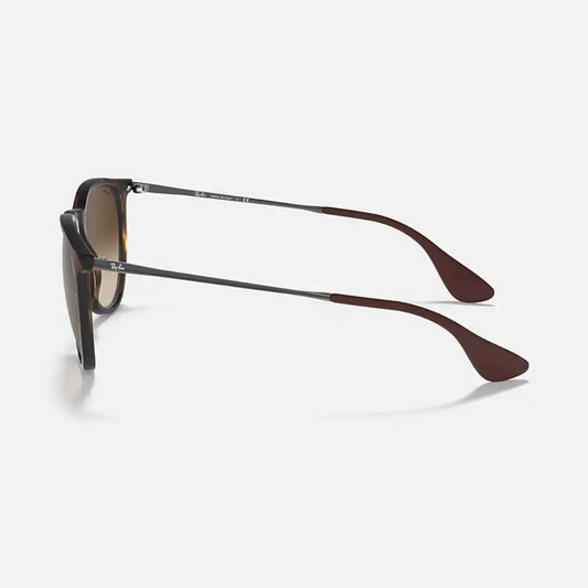 Ray-Ban Erika Classic